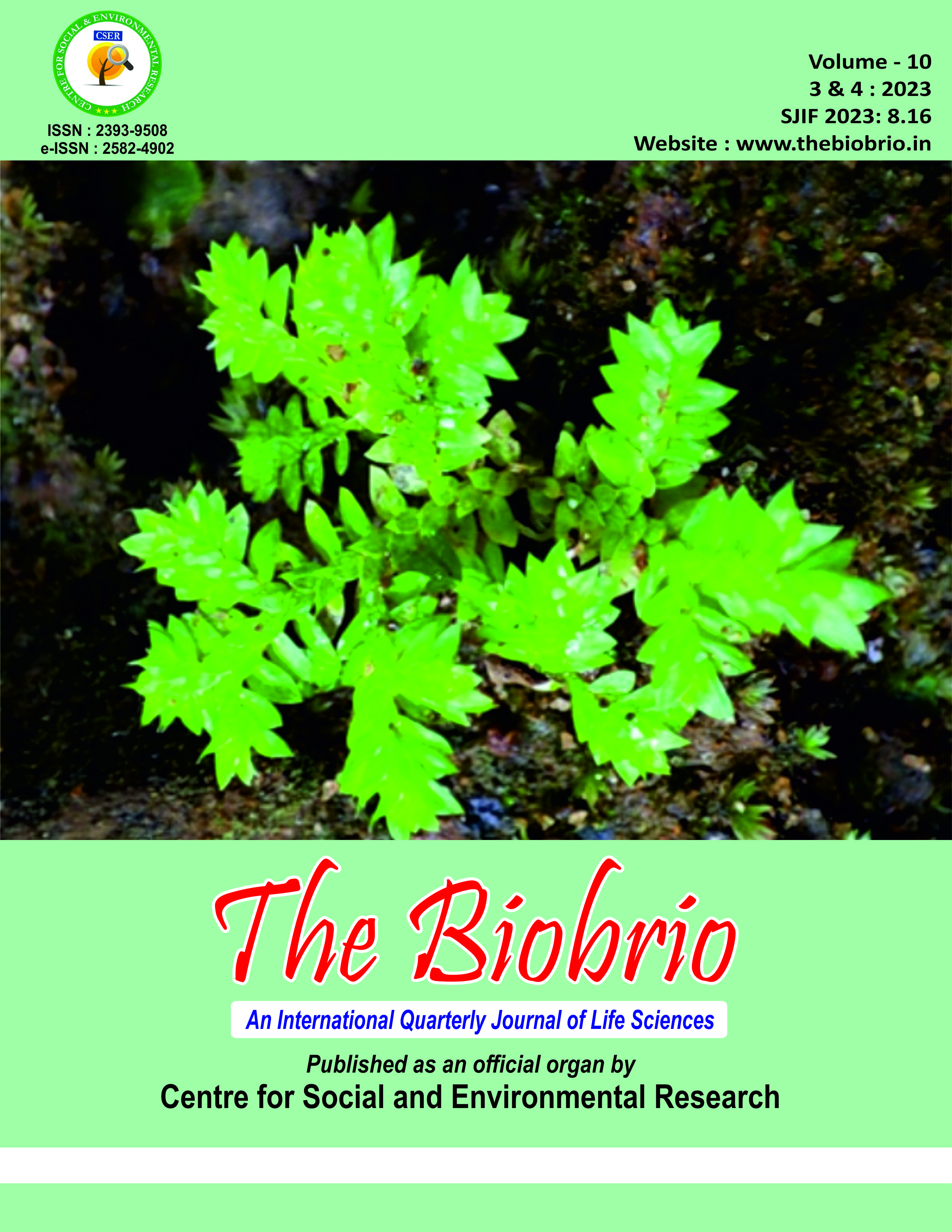 The BioBrio publication